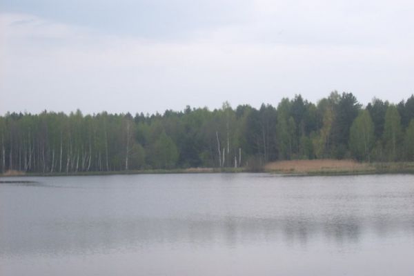 suc00002C257D7A6-5BB7-F71D-DB3C-3E93D4FBB448.jpg