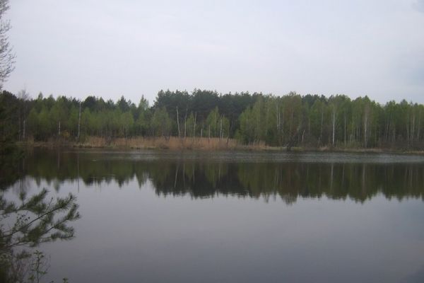 suc000075CB5C21C-0D42-D675-75FC-32C79C854BCD.jpg