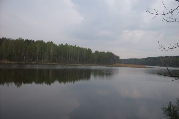 suc00008CFBAA398-43A9-A474-0A5F-2B7E11E02BB8.jpg
