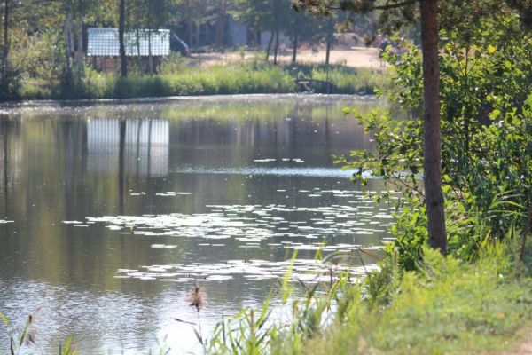 khatka-s-panenkovym-slivets-15F6D5E489-A31B-C5DD-E7F7-FAC12A6AE965.jpg