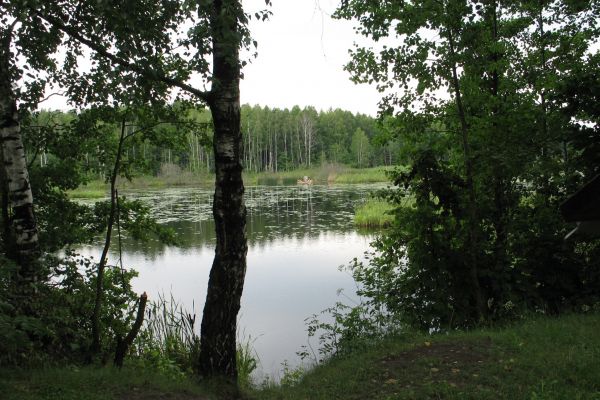 000000129D622A50-0FE8-A0B8-64CE-3C85C18230BF.jpg