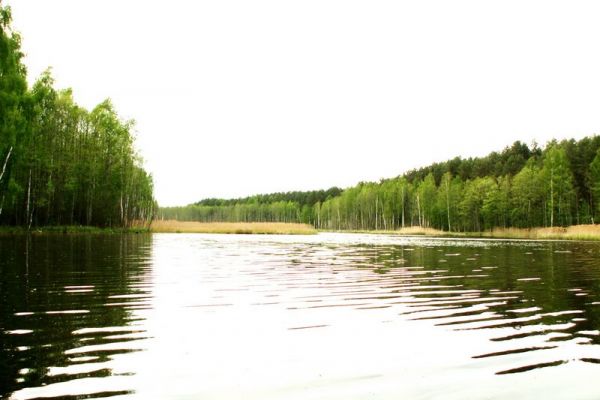 pict0103D5F9208D-9F6F-A47D-BF90-3101ED0761CB.jpg