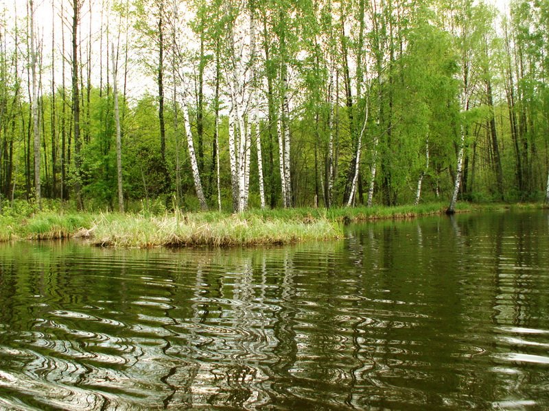 Май 2011 года