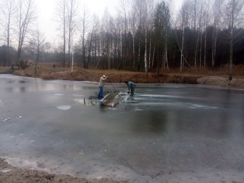 Крещение 2015