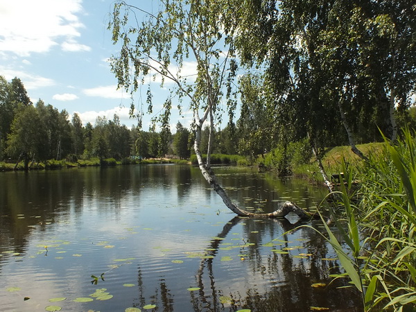 Клёвое место -  "Бабровая хатка" ("Голас Любаншчыны", 27 августа 2011 г.)